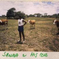 Sadhan and his cows - Lusaka, Zambia