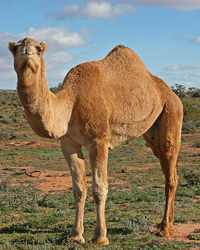 Source: http://www.krugerpark.co.za/