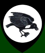 SADF’s 31 Battallion is disbanded