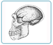 topic1_icon.gif