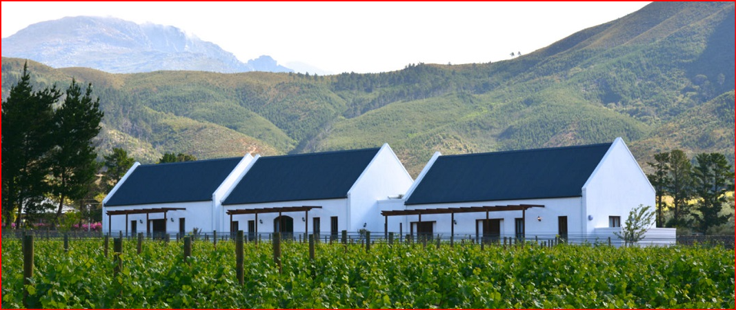 https://www.franschhoek.co.za/wp-site/wp-content/uploads/2024/02/The-Terraces-in-the-Vines.jpg