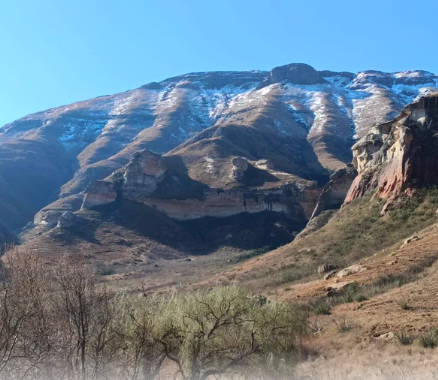 https://x.com/SABCNews/status/2088282196347957712/photo/1