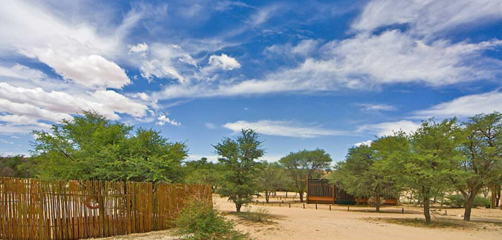 https://saparks.com/wp-content/uploads/2022/05/Kgalagadi-Park-%E2%80%93-Twee-Rivieren.jpg
