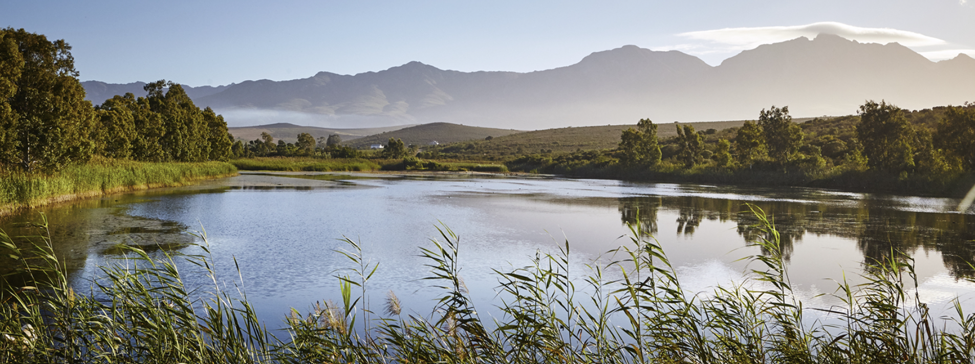 https://mooivallei.co.za/wp-content/uploads/2016/09/About_Us_01-1.jpg