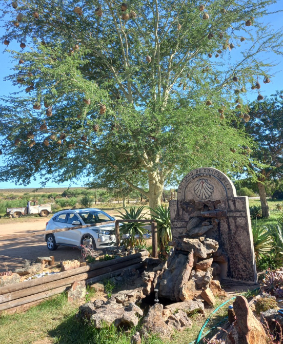 https://dynamic-media-cdn.tripadvisor.com/media/photo-o/23/2e/5f/0e/pakhuis-pass.jpg?w=1000&h=-1&s=1