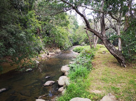 https://media-cdn.tripadvisor.com/media/photo-s/16/1a/06/65/paradise-valley-nature.jpg