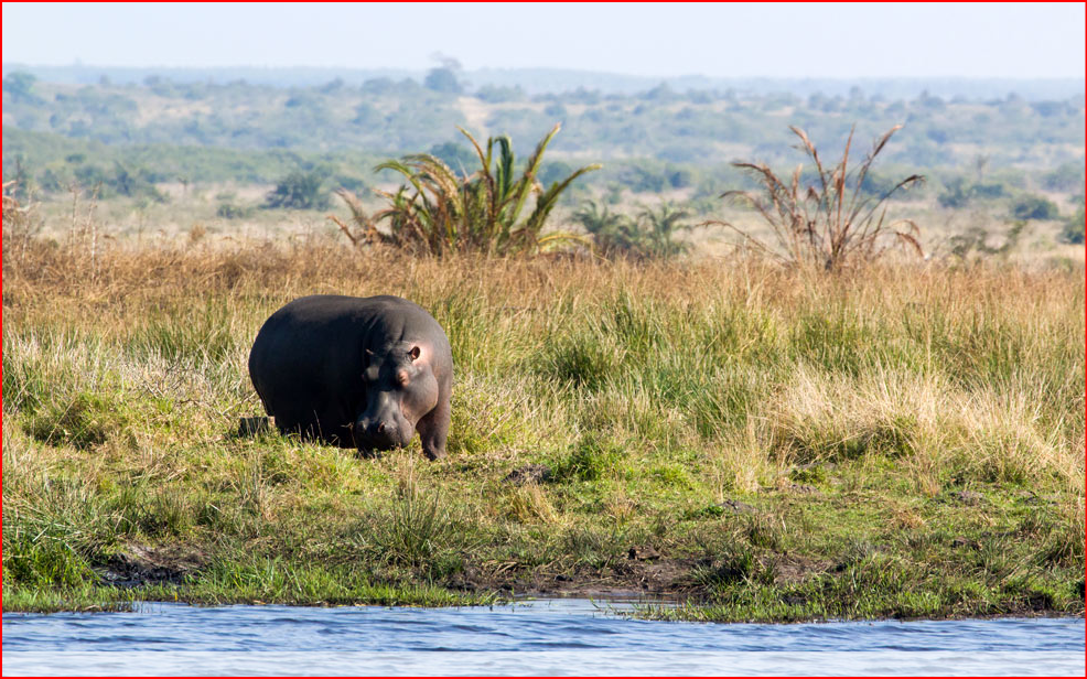 https://www.sa-venues.com/attractionskzn/gallery/zululand/6b.jpg