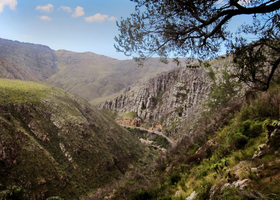 https://www.barrydale.org.za/what-to-do/the-tradouw-pass/the-tradouw-pass-1.jpg