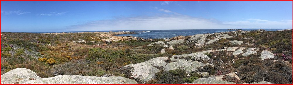 https://dynamic-media-cdn.tripadvisor.com/media/photo-o/0d/af/df/52/cape-columbine-nature.jpg?w=1000&h=-1&s=1