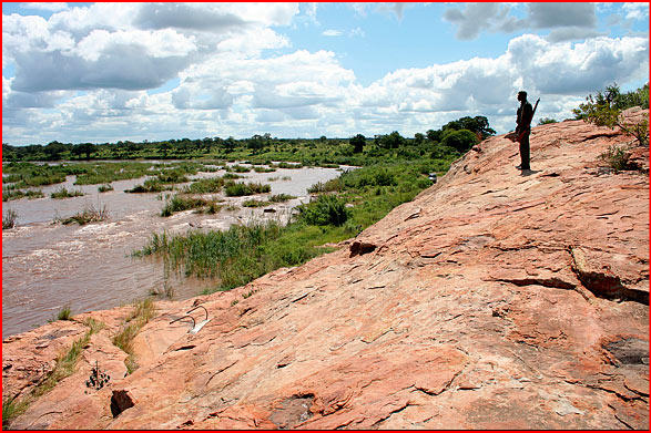 https://www.krugerpark.co.za/images/explore-kruger-croc-river-at-hippo-pools-hilton-barber-590x390.jpg