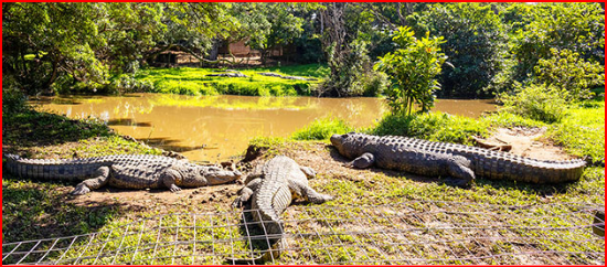https://www.activities-south-africa.co.za/info/articles/4861/images/top_pic.jpg