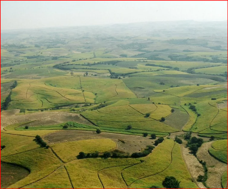 https://www.getaway.co.za/wp-content/uploads/2025/10/RSA_Sugar_Fields-768x631.webp