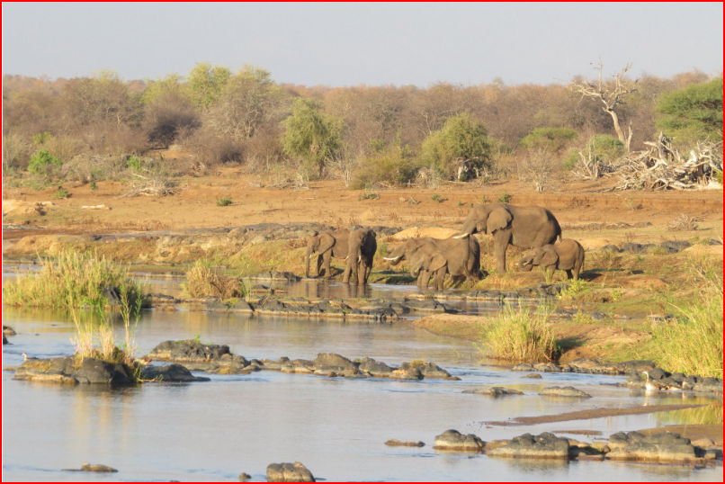 https://dynamic-media-cdn.tripadvisor.com/media/photo-o/0c/6e/d6/8c/view-of-a-family-of-eles.jpg?w=2000&h=-1&s=1