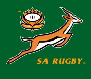 Springboks lose to the Lions | South African History Online