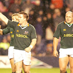 Springboks wallop Scotland