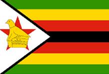 Zimbabwean intelligence officers on trial for attempting to bomb ANC refugees