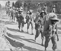 The Western Desert Force is upgraded