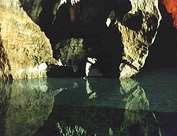 Second biggest archaeological discovery of the century at Sterkfontein