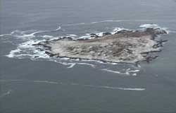 Merenstejin Sinks