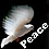 International Day of Peace Vigil is observed