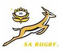 SA rugby team plays and wins the first test match against Ireland