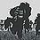 Call for a stay-away in Black townships
