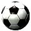 Bafana Bafana loses to Germany