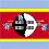 swaziland-flag.gif