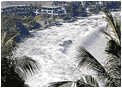 Six SA Tsunami survivors arrive at Lanseria