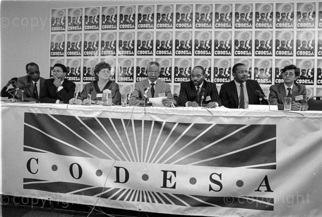 Multi-party delegates endorses the Interim constitution