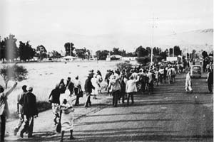 African bus boycott lasting ten weeks is initiated in Johannesburg and Pretoria.