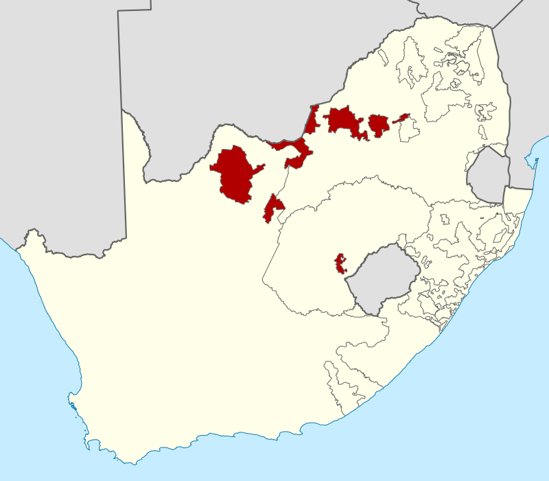 Malebane Metsing stages a coup in Bophuthatswana