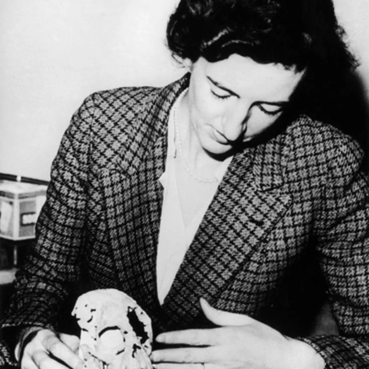 Palaeontologist Mary Leakey discovers one of the oldest hominid skulls in Tanzania