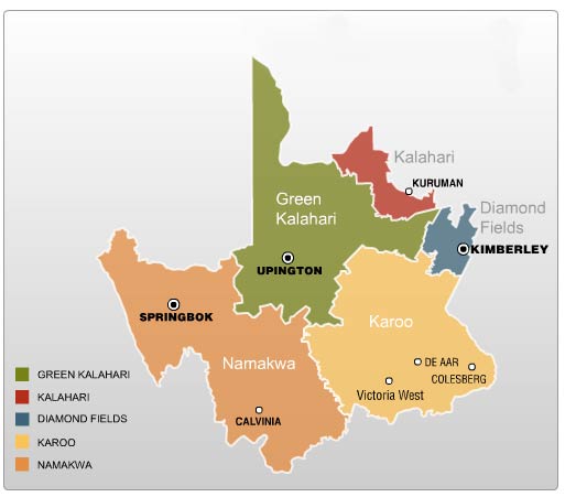 Upington 14 are sentenced