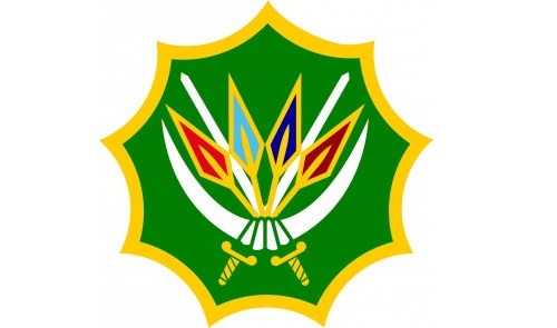SA cross-border raid in Maputo kills several