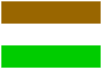 The new ochre-red, white and green tri-colour of the Transkei is adopted