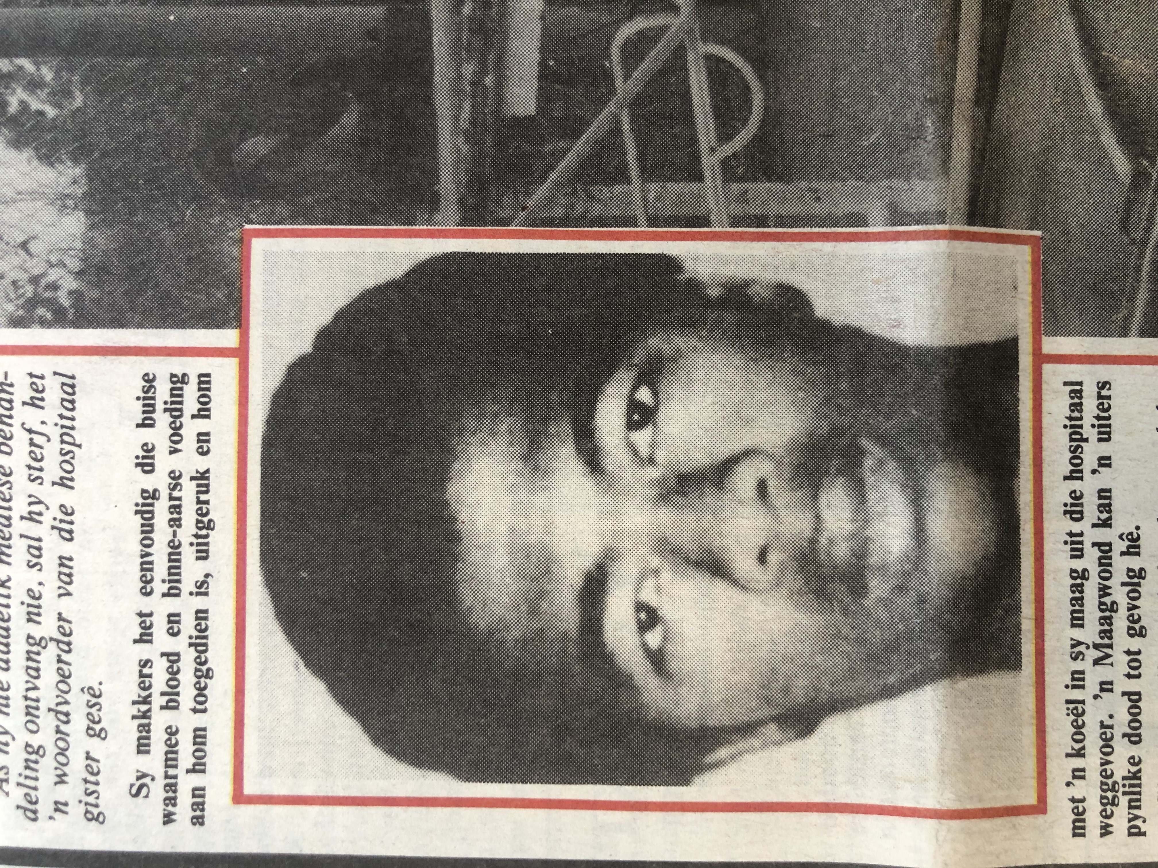 Gordon Webster, Beeld, News24