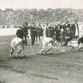 100m_final_1908_fig1_0