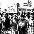 Cato Manor Protests, Natal 1959-1960