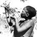 1_bushman.jpg