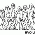 1_evolve.gif