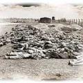 1_mass_grave.jpg