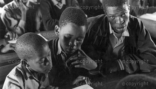Youth day image 1