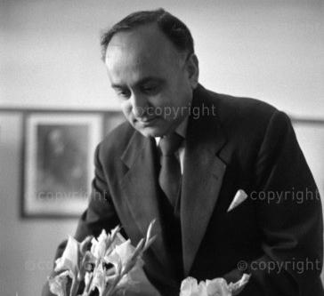 Dadoo and Flowers