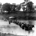 Oxwagon