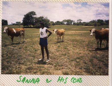 Sadhan and his cows - Lusaka, Zambia