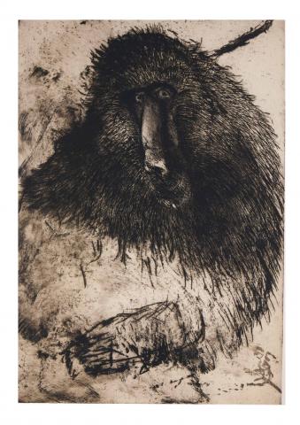 Albert Adams,'Ape' (2006),Albert Adams archive,Univeristy of Salford,Art Fund Gift