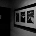 IMG_7707_w.jpg