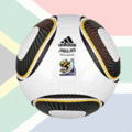 SA2010_button_big.gif