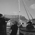 TableMtWaterfrontTelescope.jpg